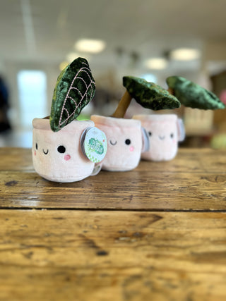 Peluche Fleur •