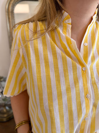 Top Lila • Gelb