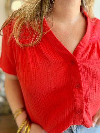 Top Alban • Koralle