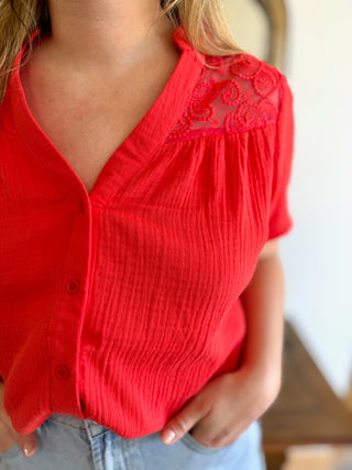 Top Alban • Koralle