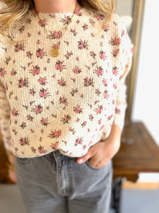 Pull Férdinand