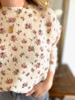 Pull Férdinand