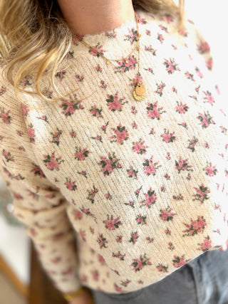 Pull Férdinand