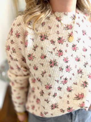 Pull Férdinand