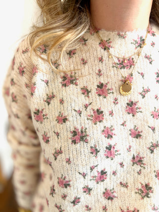 Pull Férdinand