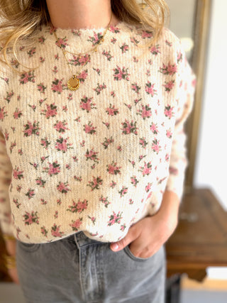 Pull Férdinand