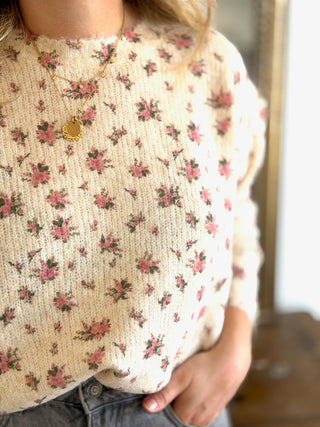Pull Férdinand