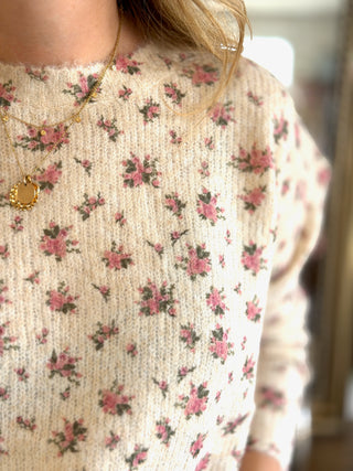 Pull Férdinand