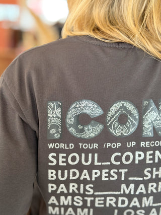 T-Shirt Iconic • Gris