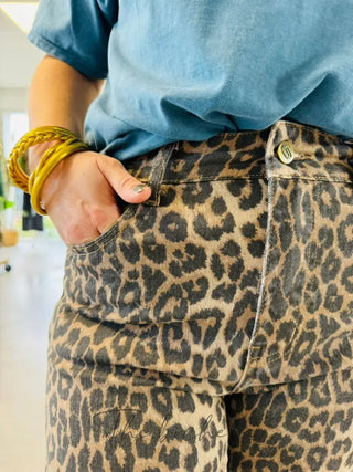 Jean Solange • Léopard