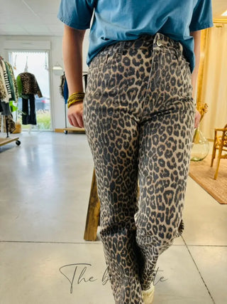 Jean Solange • Léopard