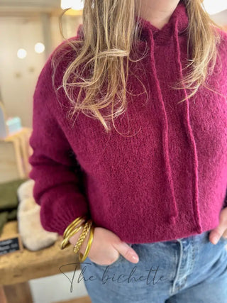 Pull à Capuche Adrien • Bordeaux TU