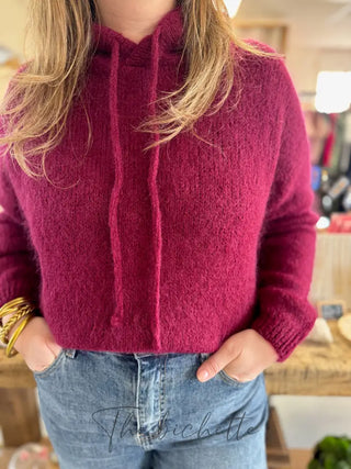 Pull à Capuche Adrien • Bordeaux TU