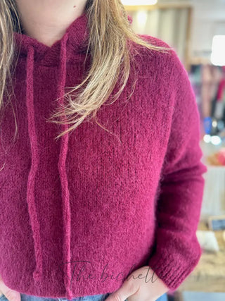 Pull à Capuche Adrien • Bordeaux TU