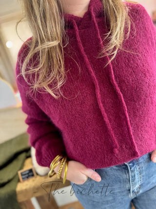 Pull à Capuche Adrien • Bordeaux TU