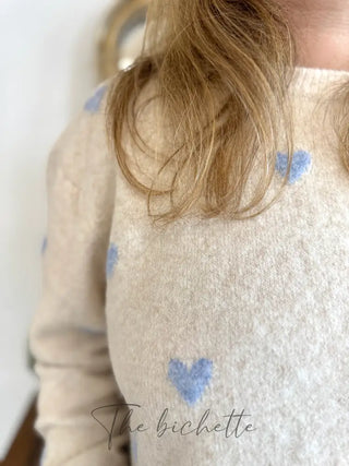 Pull Colombe • Beige & Bleu TU