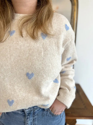 Pull Colombe • Beige & Bleu TU