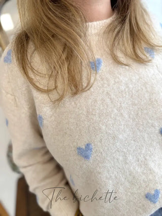 Pull Colombe • Beige & Bleu TU