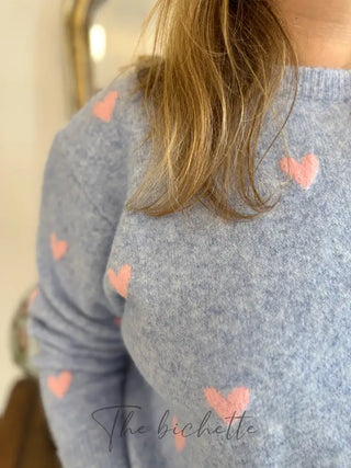 Pull Colombe • Bleu & Rose TU
