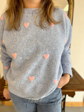 Pull Colombe • Bleu & Rose TU