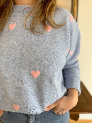 Pull Colombe • Bleu & Rose TU