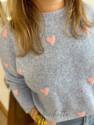 Pull Colombe • Bleu & Rose TU