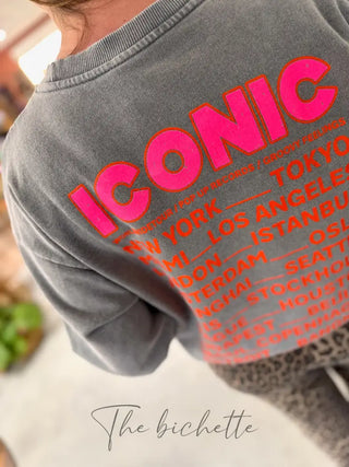 Sweat Iconic • Gris Clair TU